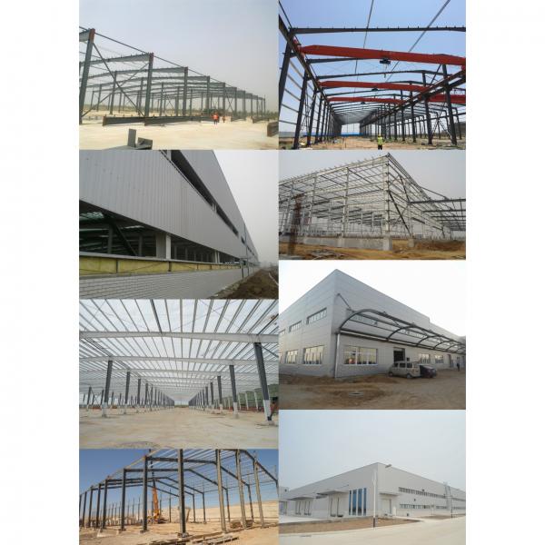automatic steel structure poultry chicken farm building #4 image